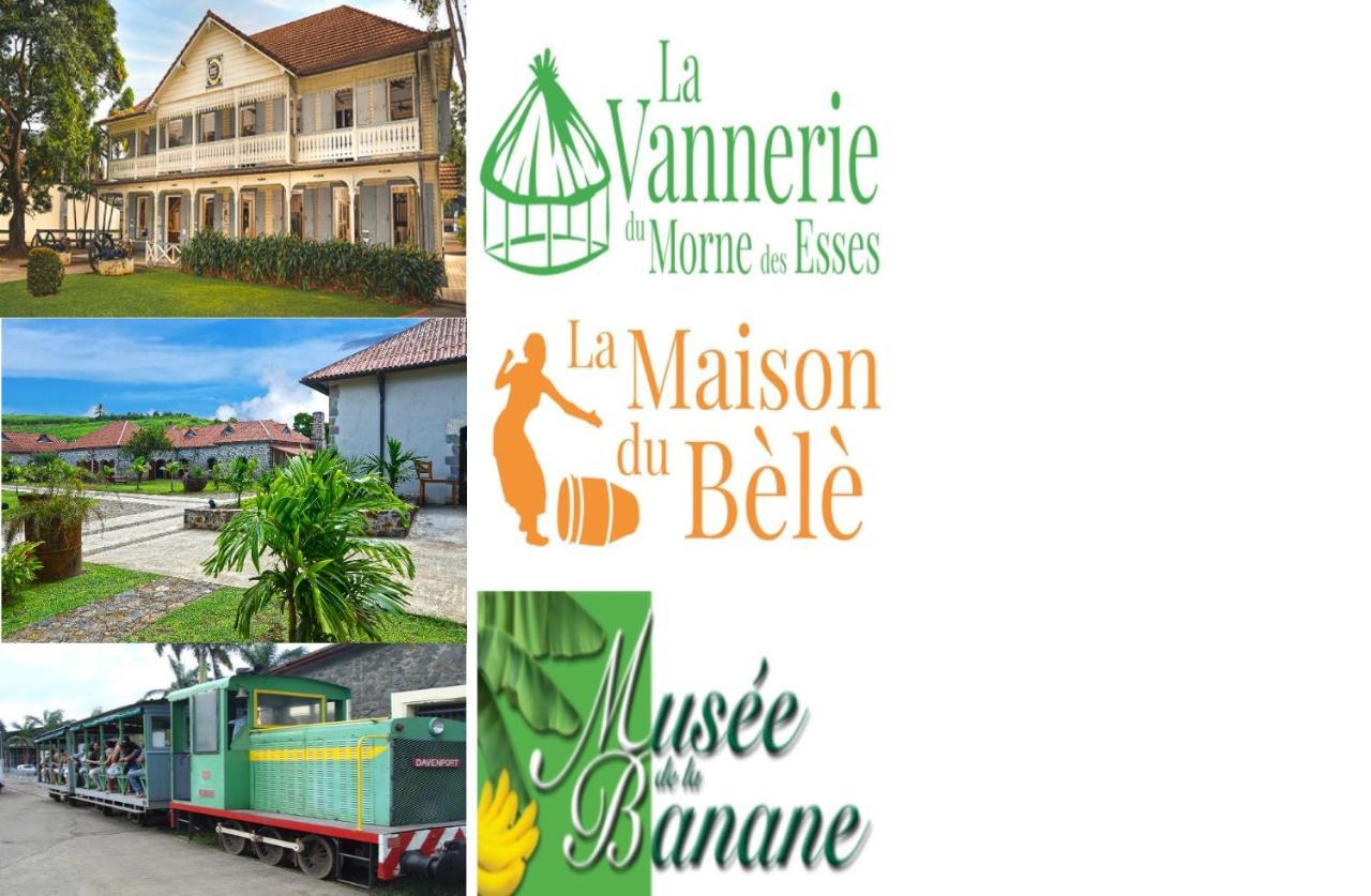 Hostel Des 3 Sources Сент-Мари Экстерьер фото
